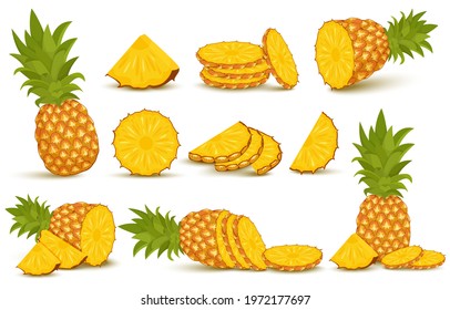 Pineapple set. Pineapple collection. Whole and sliced pineapple isolated on white background with clipping path