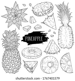 Juego de piña. Mano dibujó piña entera, rodajas, mitad, flor y semilla. Diseño para tienda, libro, menú, banner. Ingrediente alimenticio saludable. Esbozo de estilo de tinta de contorno. Ilustración de color vectorial.