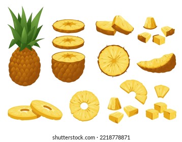 Pineapple set. Tropical fresh whole and peeled fruit pieces, cartoon natural sweet ripe ananas delicious raw snack. Colorful vector isolated collection. Hawaiian ingredient for juice, meal