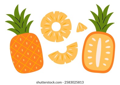 Pineapple set. Tropical fruits. Ripe fruit pieces, halved slices, whole,  round and triangle fragments. Collection of organic vitamins and healthy nutrition. Flat Vector illustration 