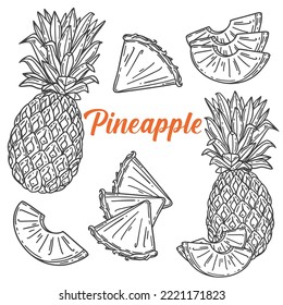 Pineapple set, Vector hand drawn illustration. Fresh organic fruit, pineapple in engraving style. Detailed food drawing. For label, poster, print. isolated on white background