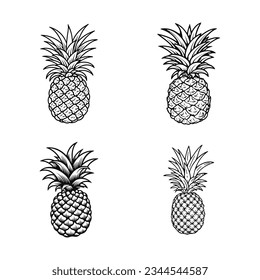 Pineapple set vector illustration in flay style