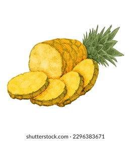 Pineapple set ,Watercolor illustration ,Isolated on white background ,Watercolor pineapple and slices isolated on white background ,Hand drawn illustration.