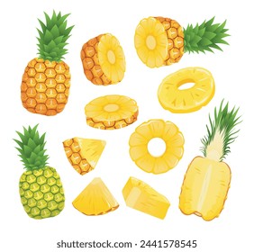 Pineapple set whole and half and slide cut