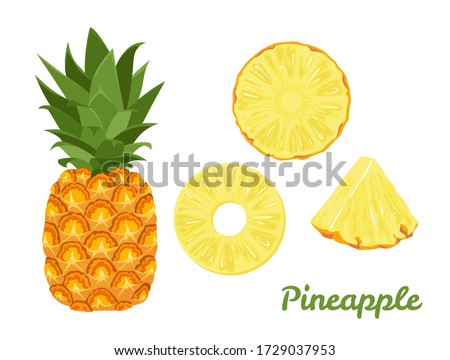 Pineapple set. Whole pineapple and slices isolated on a white background. Vector illustration of tropical fruit in cartoon flat style.