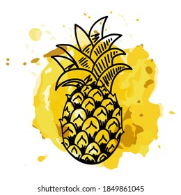 Pineapple sketch. Black line icon on abstract bright yellow background, exotic tropical fruit, fresh whole juicy ananas vector isolated single illustration