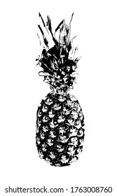 Pineapple sketch. Black and white hand drawn silhouette pineapple isolated on background. Doodle style tropical summer design. Outline line ananas. Fresh fruit print. Drawing hawaii decoration. Vector