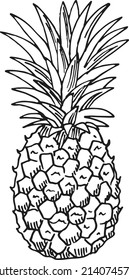 Pineapple sketch. Exotic ripe fruit in hand drawn style