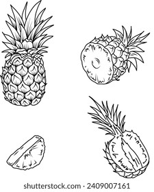 Pineapple sketch. Hand drawn ananas slices isolated.