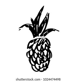 Pineapple sketch hand drawn. Black icon isolated on white background