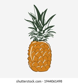 Pineapple sketch. Hand drawn pineapple vector illustration