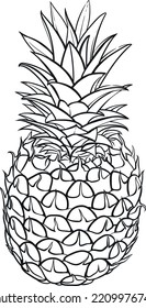 Pineapple sketch. Nature fresh fruit line drawing