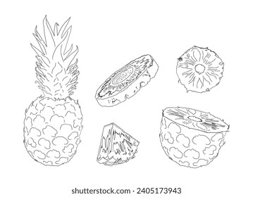 Anillos de sketch de piña y cubos. Recortes de fruta grabados en blanco, ilustración vectorial1.