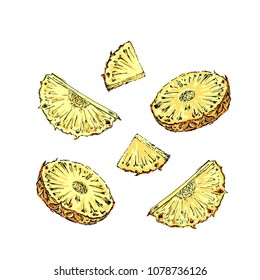 The pineapple sketch the slice set. Design elements on white background. Cut tropical fruit sketch. Hand drawn vector illustration.