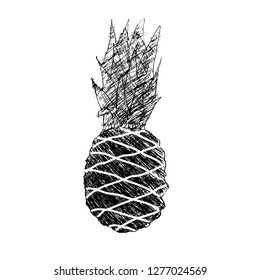 Pineapple sketch. Vector illustration