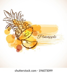 Pineapple sketch. Vector illustration 