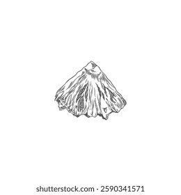 Pineapple slice. Black and white sketch of tropical fruit. Hand drawn vector illustration. Vintage engraved style. Food. Juicy dessert. Ingredient. Diet. Isolated background.