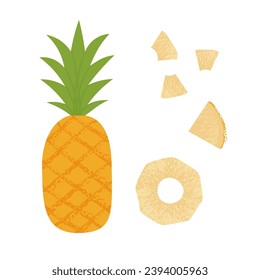 Pineapple slice. Summer fruits textured. Hand drawn organic vector illustration