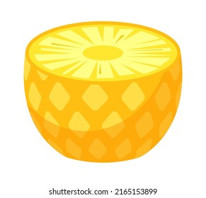 Pineapple Slice Tropical Fruit. Vector illustration