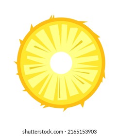 Pineapple Slice Tropical Fruit. Vector illustration