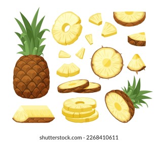 Ananas. geschnittene gesunde Naturprodukte. Vektorsafarbene Ananas im Cartoon-Stil