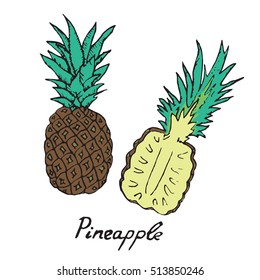 Pineapple and sliced piece, hand drawn doodle, sketch in pop art style, vector