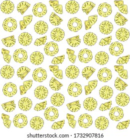 Pineapple sliced seamless pattern. Organic healthy fruit background. Hand draw vector illustrasion.