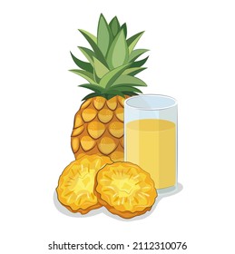 pineapple sliced vector juicy exotic tasty fruit vitamin organic health illustration  fresh tropical set isolated on white stock 