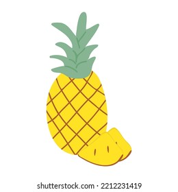 Pineapple and its slices in doodle style. Hand drawing