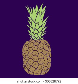 Pineapple with slices.  Hand drawn vector illustration.