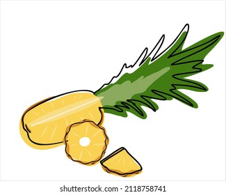 Pineapple slices isolated on white background.Tropical product. Hand drawn or doodle style. Flat vector illustration