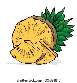 Pineapple with slices isolated on white.  Hand drawn vector illustration.