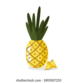 Pineapple with slices on isolated background. Vector cartoon ananas. 