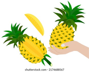 pineapple slices on a white background.