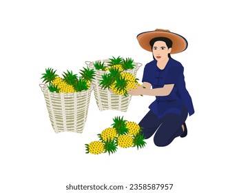 pineapple slices on a white background.