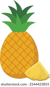 Pineapple and Slices Tropical Summer Fruit Vector