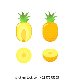 Pineapple Slices variant simple vector design set