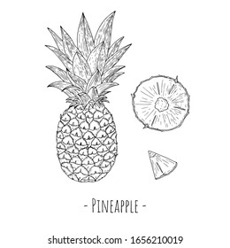 Pineapple and slices of pineapple. Vector cartoon illustration. Isolated objects on a white background. Hand-drawn style.