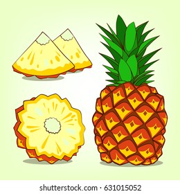 Pineapple with slices. Vector illustration
