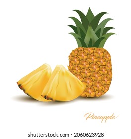ilustración vectorial de piña y rodajas y aislados en fondo blanco