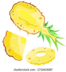 Pineapple sticker set on white isolated backdrop. Tropical fruit slices for gift card, healthy food shop logo, bath tile, juice pack. Phone case or cloth print. Drawn style stock vector illustration