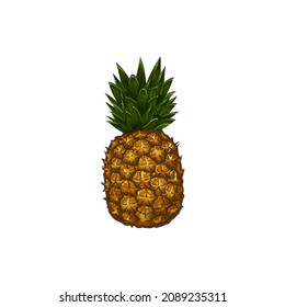 Pineapple. Summer fruit for a healthy lifestyle. Vector illustration of flat cartoon icon isolated on white