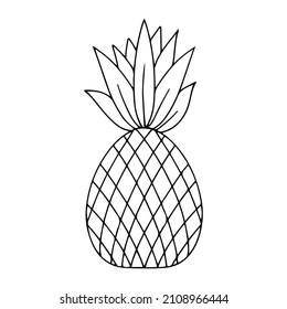 A pineapple. Summer fruits. Vector illustration isolated on a white background.