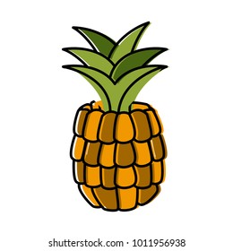 Pineapple sweet fruit