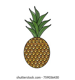 Pineapple sweet fruit