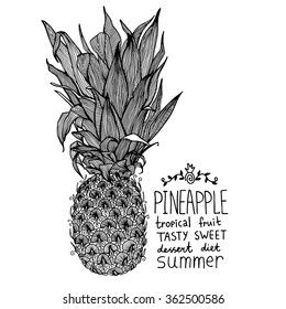 Pineapple sweet tropical fruit graphic vector illustration.