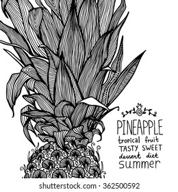 Pineapple sweet tropical fruit graphic vector illustration.