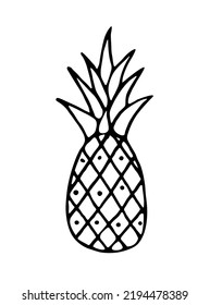 Pineapple symbol icon. Hand drawn black and white pineapple doodle. 