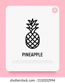 Pineapple thin line icon. Organic healthy food. Vector illustration.