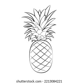 Pineapple with a thin line. Vector on a white background